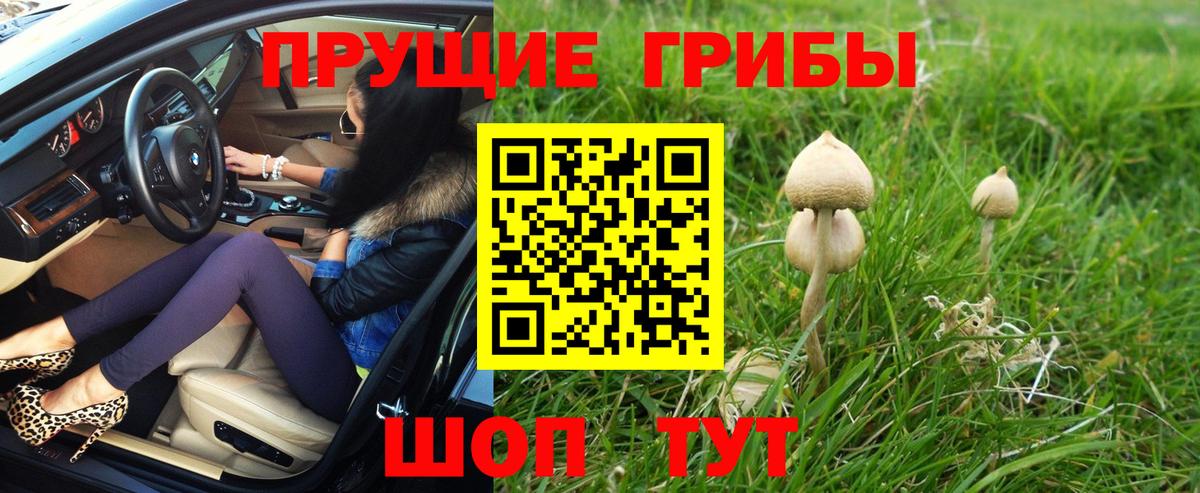 Псилоцибиновые грибы GOLDEN TEACHER Березники