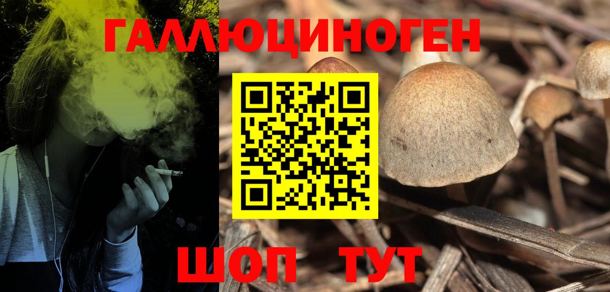 Березники  Галлюциногенные грибы Cubensis  Галлюциногенные грибы ЛСД  Вход с VPN 